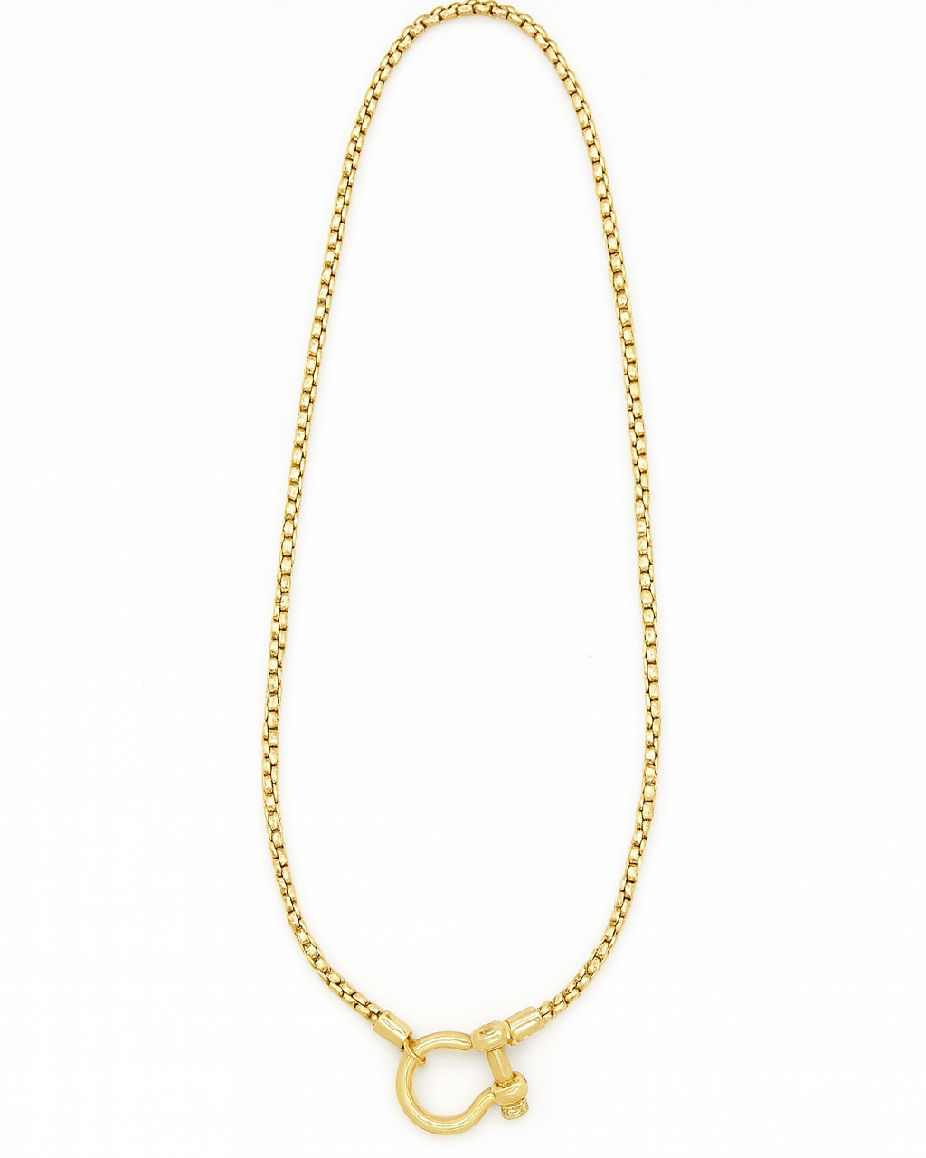 Horseshoe Bend Edgy Chain